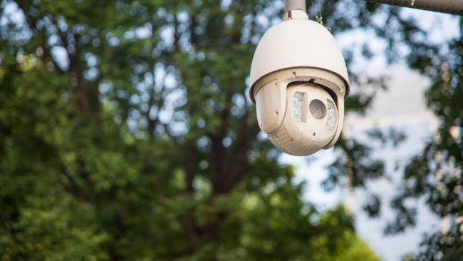 Tips Memilih CCTV Perkebunan yang Tepat untuk Keamanan yang Terjamin