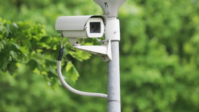 Tips Memilih CCTV Perkebunan yang Tepat