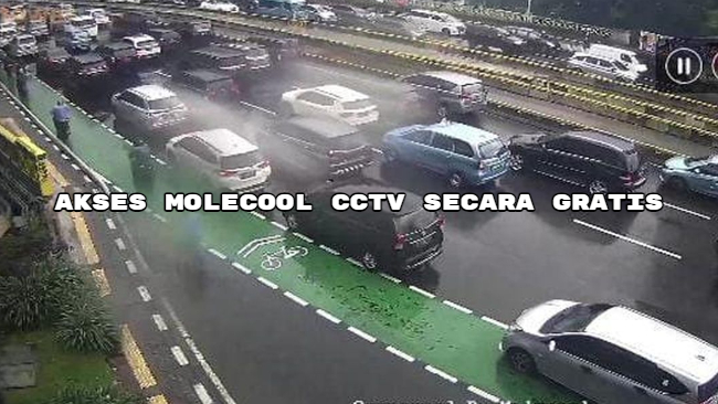 Akses Molecool CCTV secara Gratis