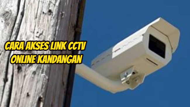 Cara Akses Link CCTV Online Kandangan